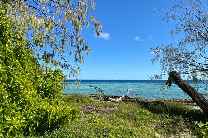 Lady Musgrave Day Trip from Bundaberg Including Snorkeling - Snorkeling with fish and the chance of turtles
