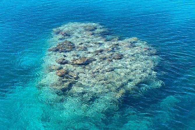 Lady Musgrave Day Trip from Bundaberg Including Snorkeling - A dry view from the glass-bottom boat