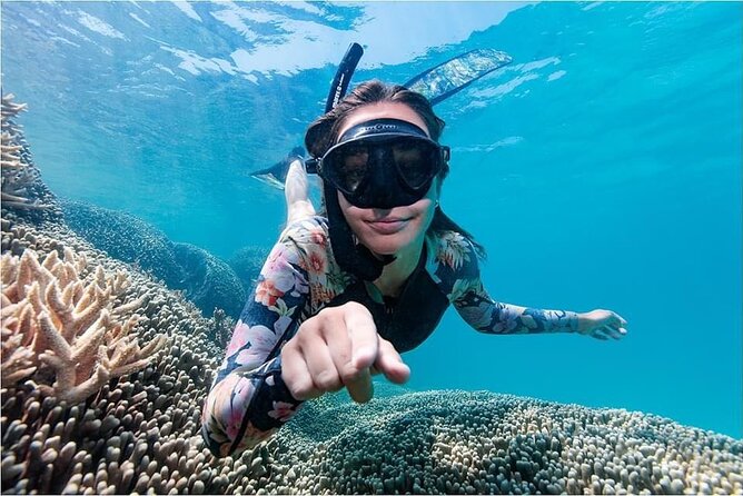 Lady Musgrave Day Trip from Bundaberg Including Snorkeling - Scuba is available, but it costs extra