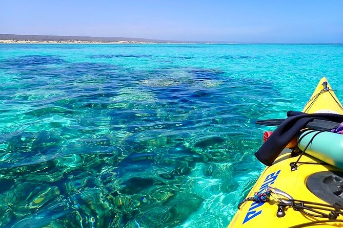 Lagoon Explorer - Ningaloo Reef Full-Day Kayaking and Snorkeling Adventure - The guides make the difference