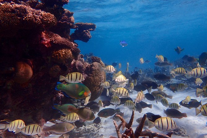 Lagoon Explorer - Ningaloo Reef Full-Day Kayaking and Snorkeling Adventure - Getting comfortable in the double sea kayaks
