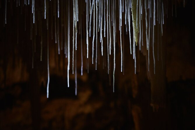 Lake Cave Fully Guided Tour - Inside Lake Cave with the guide