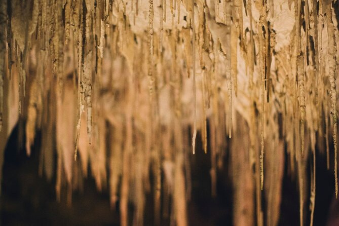 Lake Cave Fully Guided Tour - The guide-led format and group size