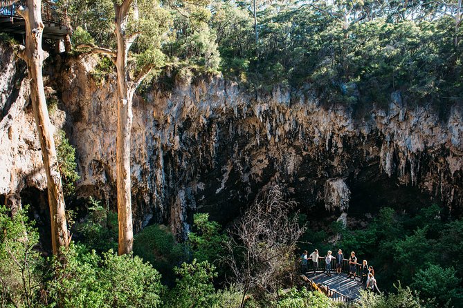 Lake Cave Fully Guided Tour - The staircase through the doline