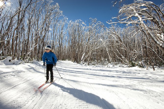 Lake Mountain Snow Trip including Yarra Valley Chocolaterie from Melbourne - Leaving Melbourne at 8:00 AM