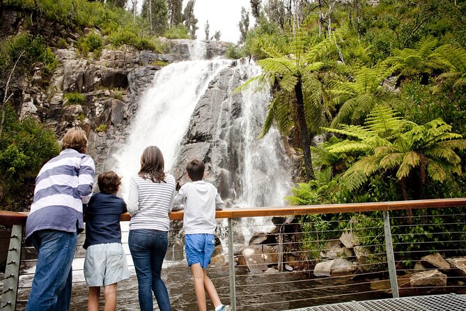 Lake Mountain Snow Trip including Yarra Valley Chocolaterie from Melbourne - Steavenson Falls near Marysville