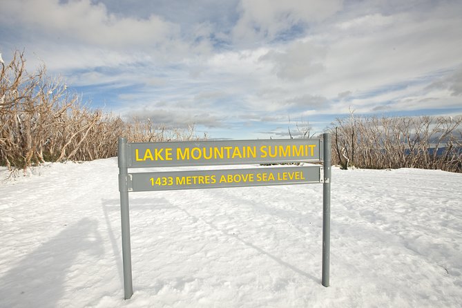 Lake Mountain Snow Trip including Yarra Valley Chocolaterie from Melbourne - How much value does $129.10 offer?