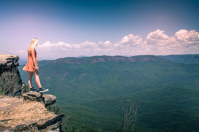 Late Start Blue Mountains Nature, Waterfalls, Koalas Small Group - Why the late start works so well