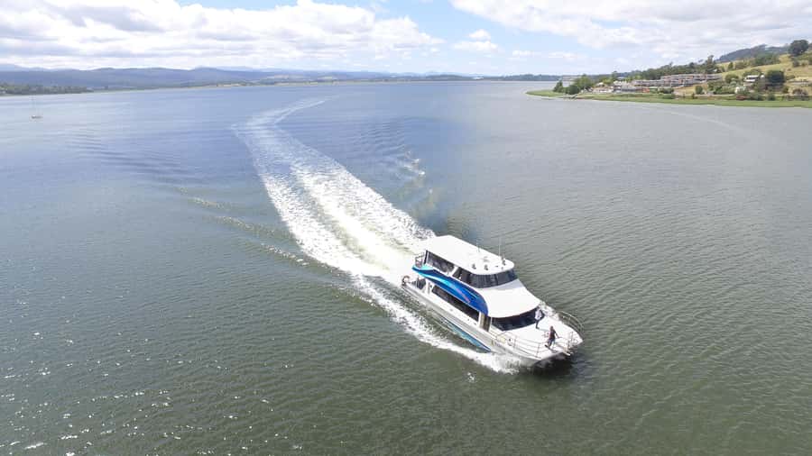Launceston: 2.5-Hour Afternoon Discovery Cruise - Starting at Home Point Parade and Royal Park