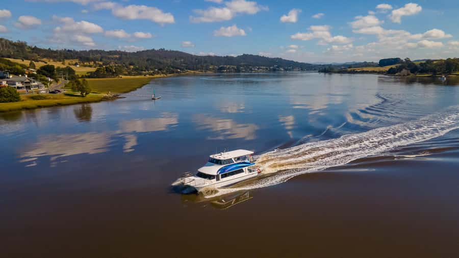 Launceston: 4-Hour Batman Bridge Luncheon Cruise - Is $126 good value in Launceston?