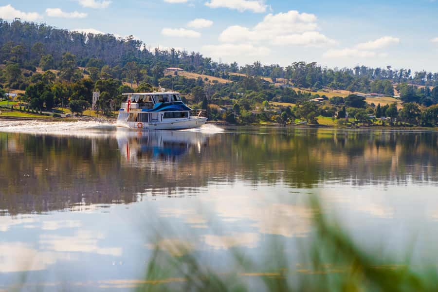 Launceston: 4-Hour Batman Bridge Luncheon Cruise - Why this four-hour cruise works so well