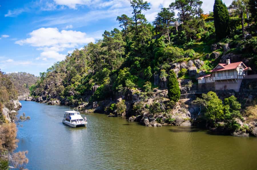 Launceston: 4-Hour Batman Bridge Luncheon Cruise - Tamar Island, vineyards and protected river inlets