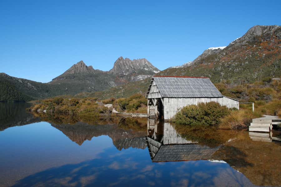 Launceston: Cradle Mountain Guided Active Day Trip - Pencil Pine Falls brings you into the forest