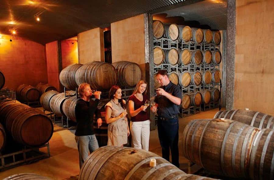Launceston: Tamar Valley Wine Tour with Lunch - Key points at a glance