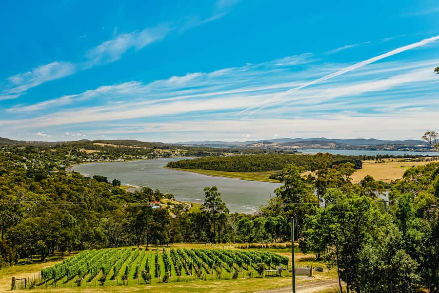Launceston: Tamar Valley Wine Tour with Lunch - Learning to taste instead of simply drinking