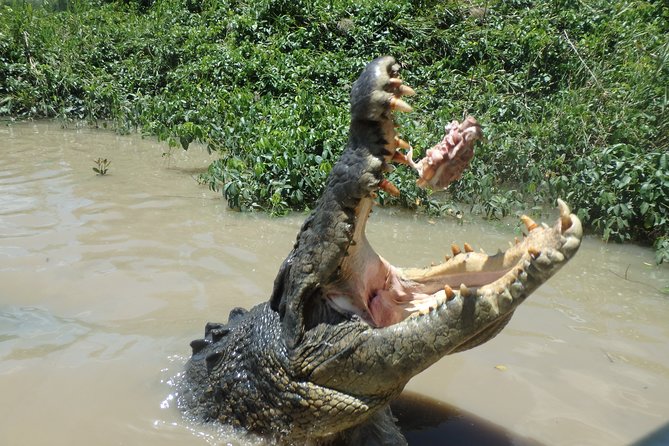 Litchfield and Jumping Crocodiles Full Day Trip from Darwin - Champagne and sunset back in Darwin