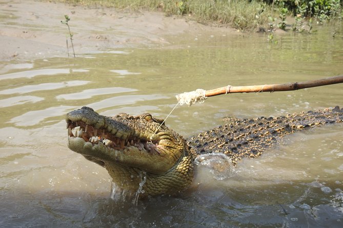 Litchfield and Jumping Crocodiles Full Day Trip from Darwin - Wangi Falls and Florence Falls in Litchfield