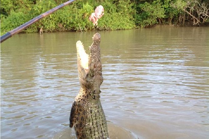 Litchfield National Park and Jumping Crocodile Cruise - Florence Falls and Buley Rockhole