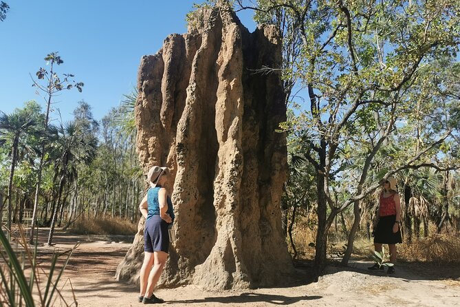 Litchfield National Park Day Tour & Berry Springs, Max 11 Guests - Florence Falls Starts the Swimming Day