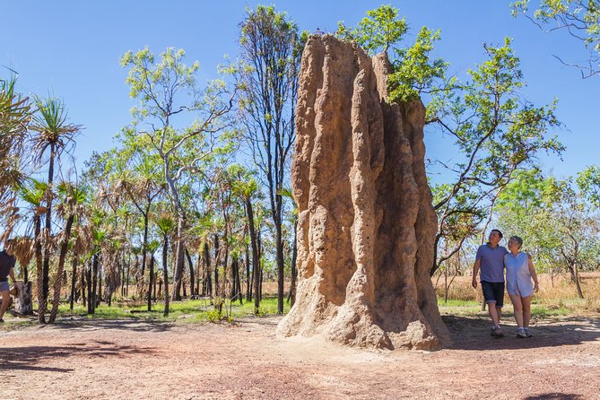 Litchfield National Park Day Tour from Darwin - Magnetic termite mounds are more than a quick photo