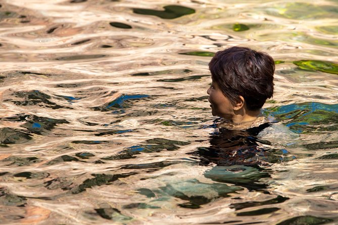 Litchfield National Park Day Tour from Darwin - Howard Springs adds wildlife, but not everyone values it equally