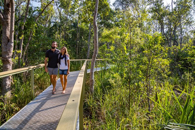Litchfield National Park Day Tour from Darwin - Tolmer Falls and the rare bat colonies