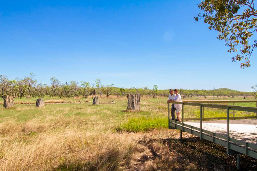 Litchfield National Park: Full-Day & Lunch from Darwin - Florence Falls: the best chance for a swim