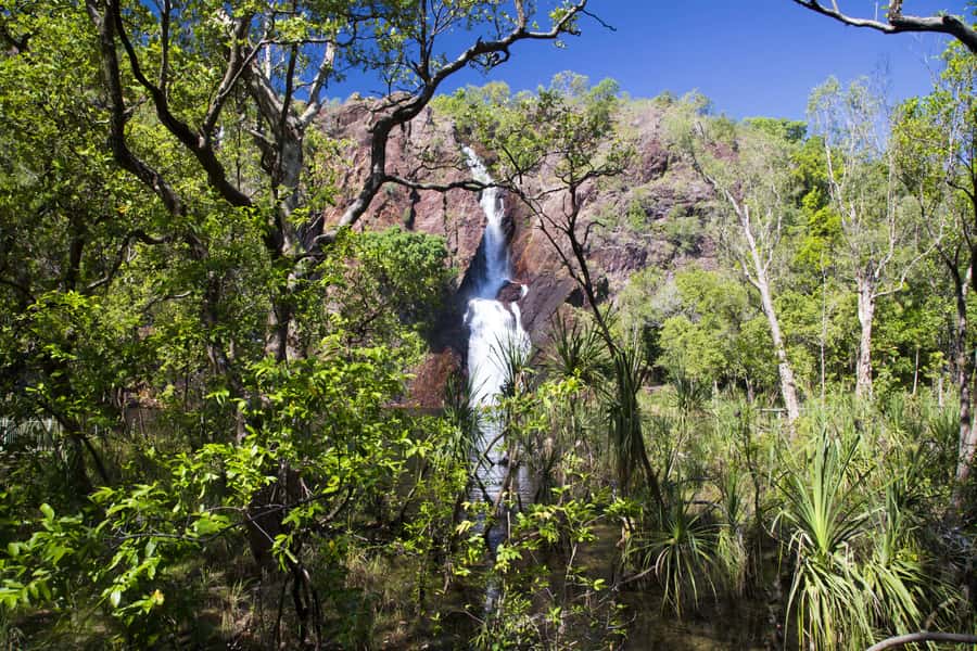 Litchfield National Park: Full-Day & Lunch from Darwin - Wangi Falls and a broad tropical pool