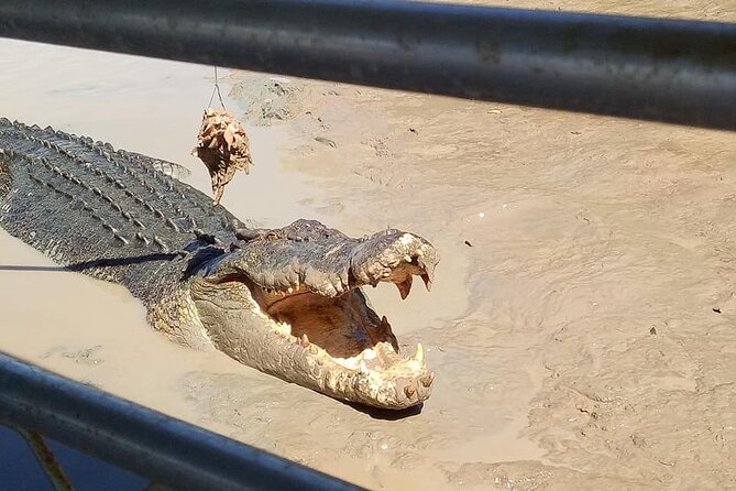 Litchfield National Park Tour with Wetlands or Crocodile Cruise - Buley Rockhole and Wangi Falls