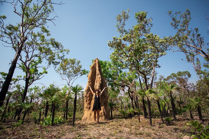Litchfield National Park Tour with Wetlands or Crocodile Cruise - The early departure from Darwin
