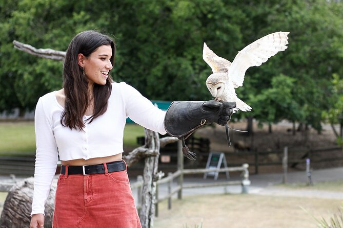 Lone Pine Koala Sanctuary Day Pass - Kangaroo Reserve offers the most hands-on moment