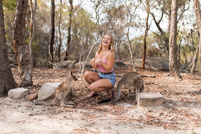 Luxury Hunter Valley Wildlife & Wine Tasting Tour from Sydney - Fat Cow Hunter Valley: a short food break