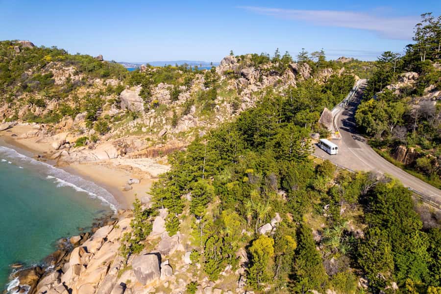 Magnetic Island: Behind the Scenes Tour - The private koala stop is the emotional high point