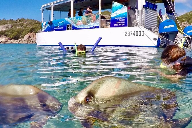 Magnetic Island Discovery Tour with Snorkeling & Paddle Boarding - Snorkeling with a proper lesson