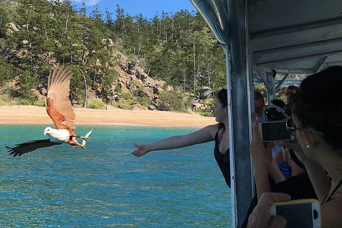 Magnetic Island Discovery Tour with Snorkeling & Paddle Boarding - Is $114.04 good value?