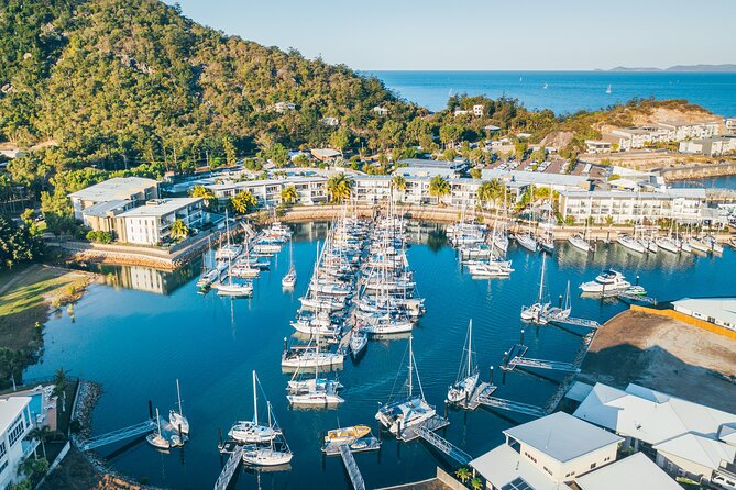 Magnetic Island Round-Trip Ferry From Townsville - Exploring a protected island with koalas