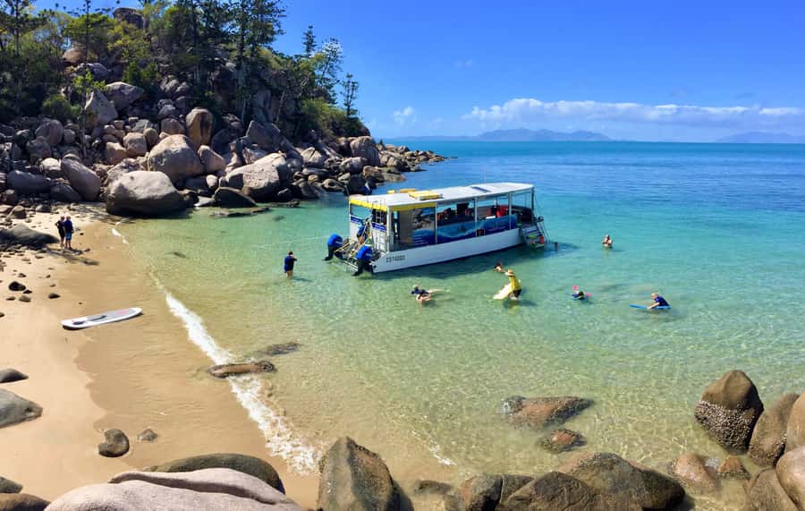 Magnetic Island: Snorkel Discovery Tour - A local introduction to Magnetic Island
