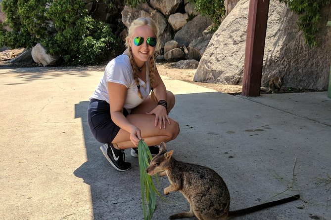 Magnetic Island Tour: Maggie Comprehensive - Five useful things to know before booking