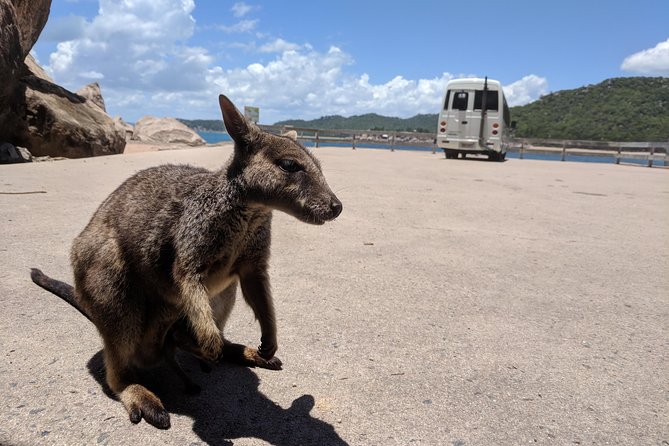 Magnetic Island Tour: Maggie Comprehensive - Why this five-hour tour works well