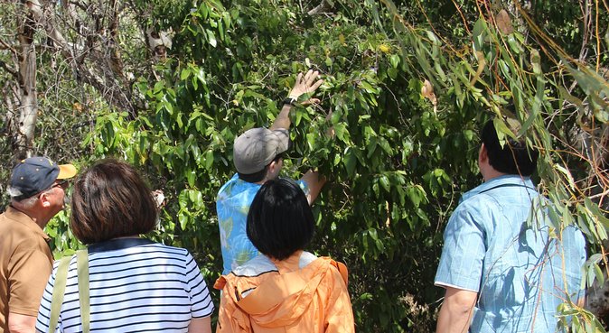 Magnetic Island Tour: Maggie Comprehensive - What the guides add to the experience