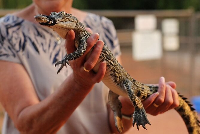 Malcolm Douglas Crocodile Park Tour Including Transportation - Why this crocodile park is worth your Broome afternoon