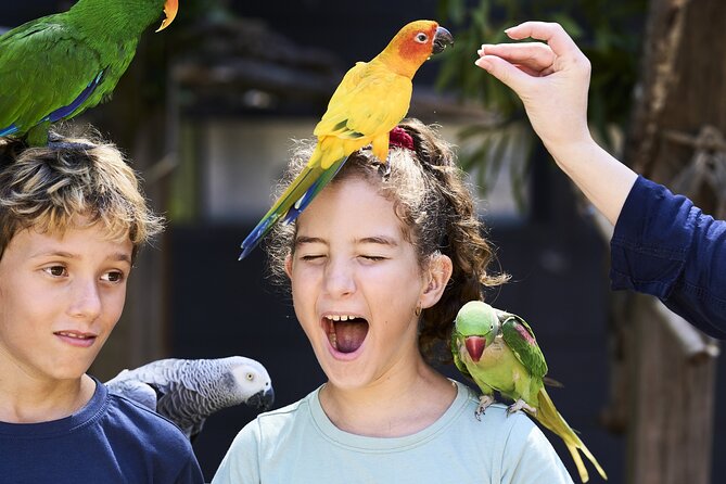 Maleny Botanic Gardens Bird Aviary Experience Ticket - Why Maleny Botanic Gardens makes a good half-day outing