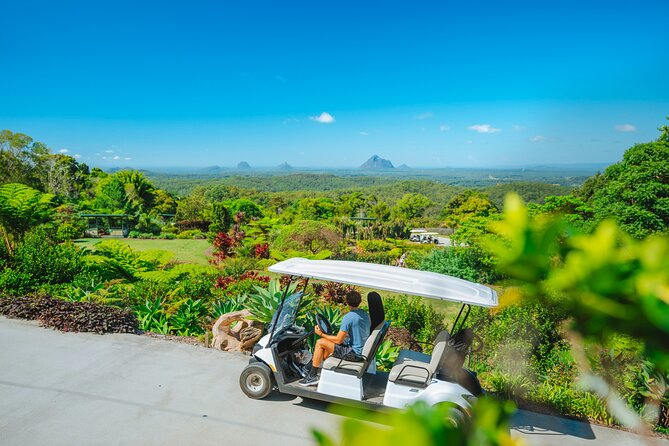 Maleny Botanic Gardens Bird Aviary Experience Ticket - Food, photos, and a slower afternoon