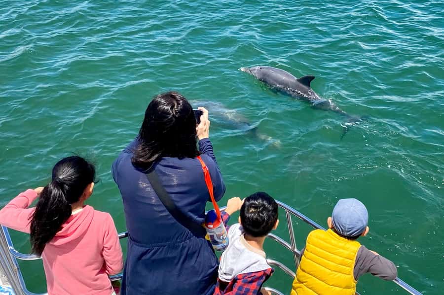 Mandurah: Dolphin and Views Cruise - Through the canals and past Mandurah’s grand homes