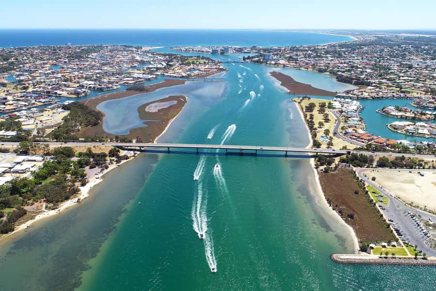 Mandurah: Dolphin and Views Cruise - Wetlands, birds, and smaller wildlife moments
