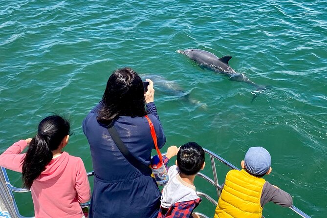 Mandurah Dolphin Cruise and Views - Stories of Mandurah, from Aboriginal times onward