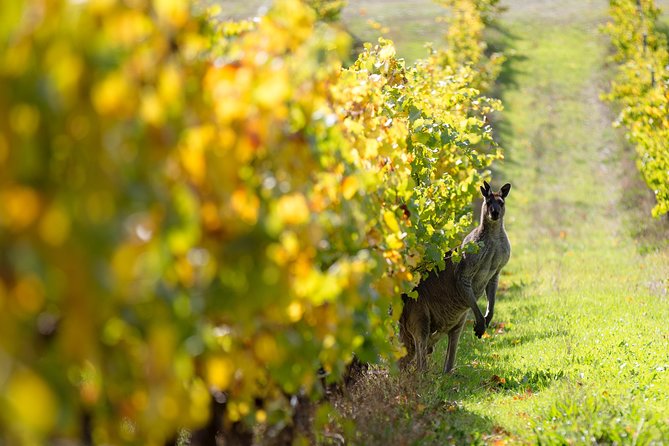 Margaret River 3 Day Escape - The Guides and Small-Group Feel