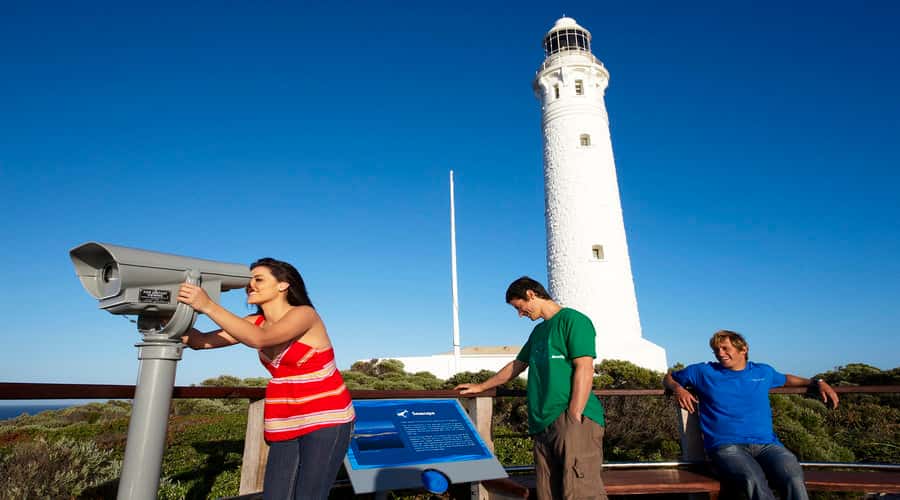 Margaret River and Busselton Jetty: Day Trip from Perth - Key points at a glance