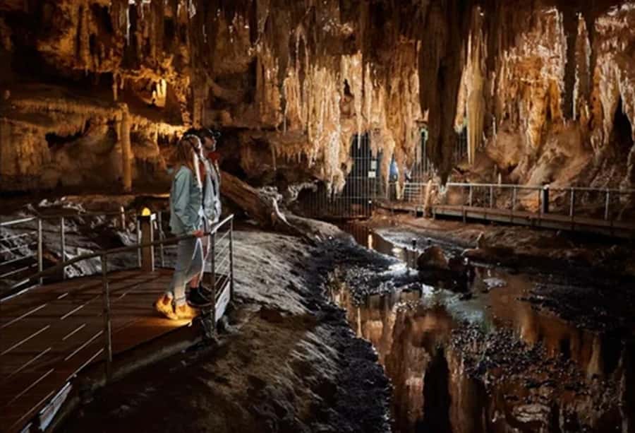 Margaret River and Busselton Jetty: Day Trip from Perth - Mammoth Cave: the day’s best natural stop