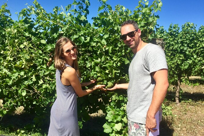 Margaret River Beer & Wine Adventure (departs Margaret River) - Why this tour makes sense in Margaret River
